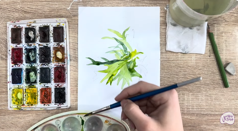 Рисуем Платицериум в горшке