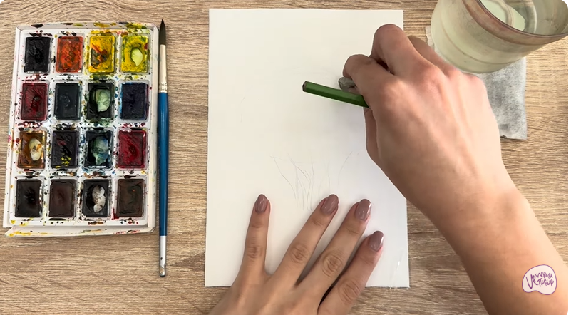 Рисуем Саженец бирючины