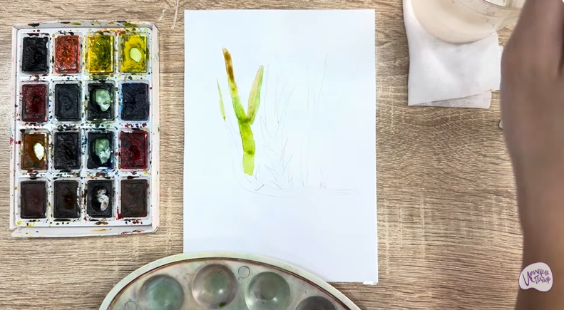 Рисуем Аир болотный