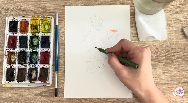 Рисуем Лапчатка