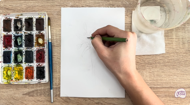 Рисуем Ясколка длинноволосая