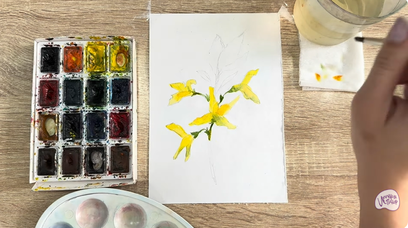 Рисуем Форзиция