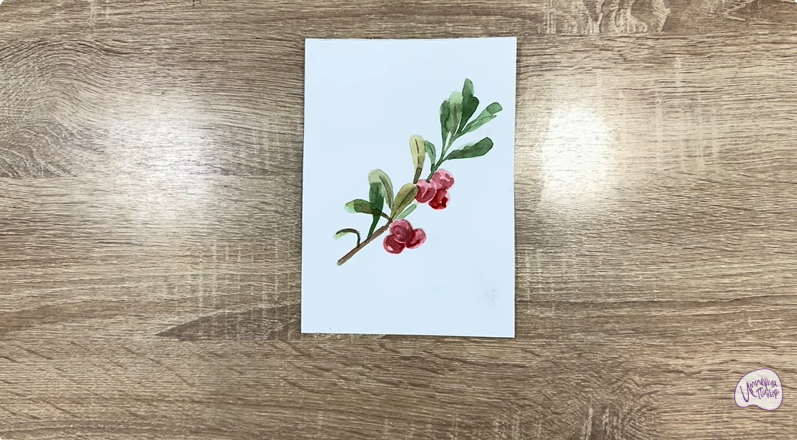 Рисуем Толокнянка