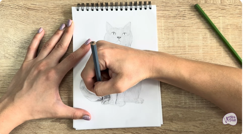 Рисуем Кот породы Шартрез