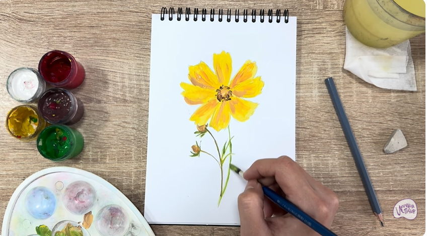 Рисуем Кореопсис