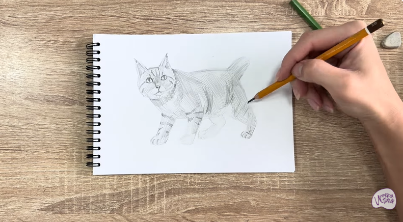 Рисуем Пиксибоб