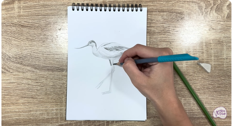 Рисуем Шилоклювка