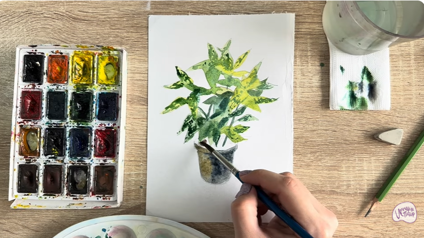 Рисуем Аукуба японская