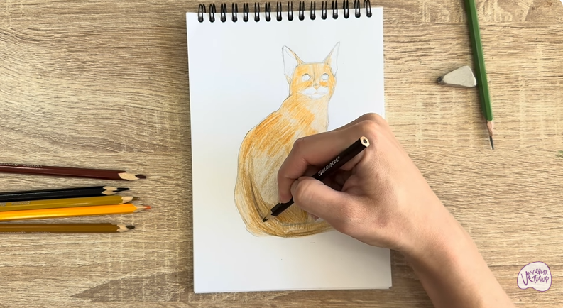 Рисуем Кошка Тойгер