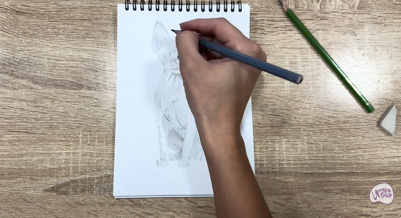 Рисуем Девон Рекс