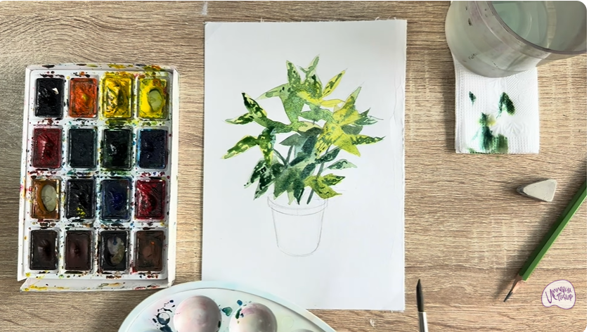 Рисуем Аукуба японская