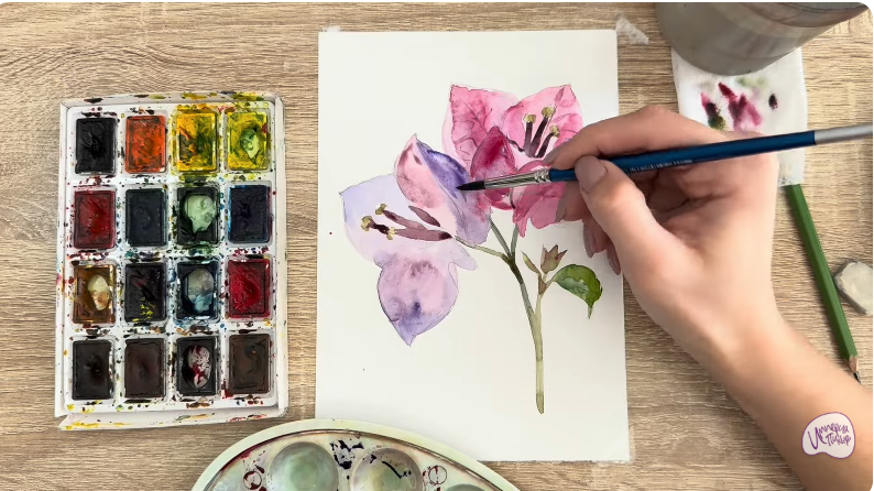 Рисуем Бугенвиллея