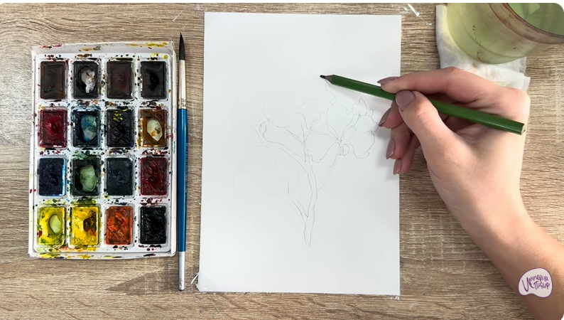 Рисуем Ветка рододендрона