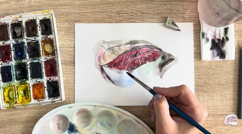 Рисуем Жабры рыбы