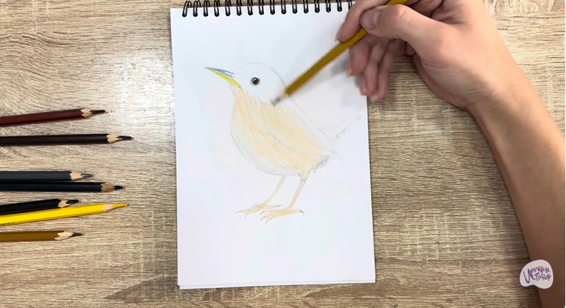 Рисуем Крапивник