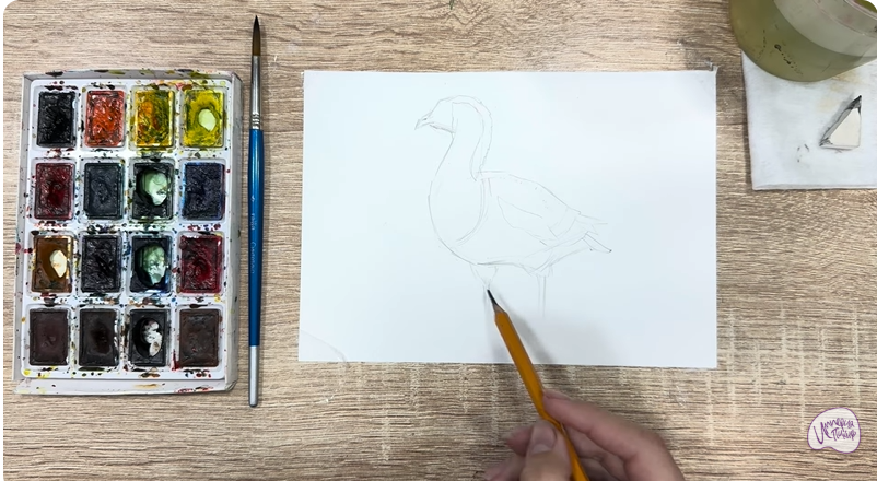 Рисуем Краснозобая казарка