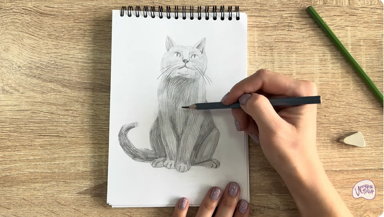 Рисуем Кот породы Шартрез