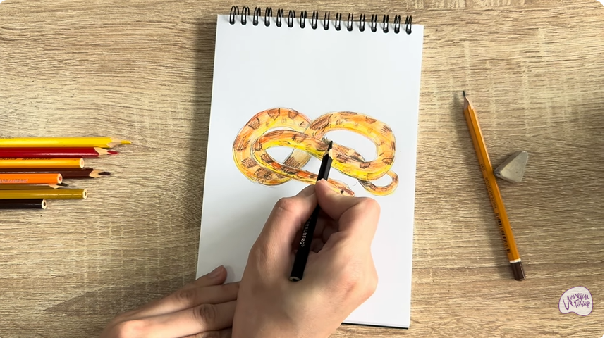 Рисуем Маисовый полоз