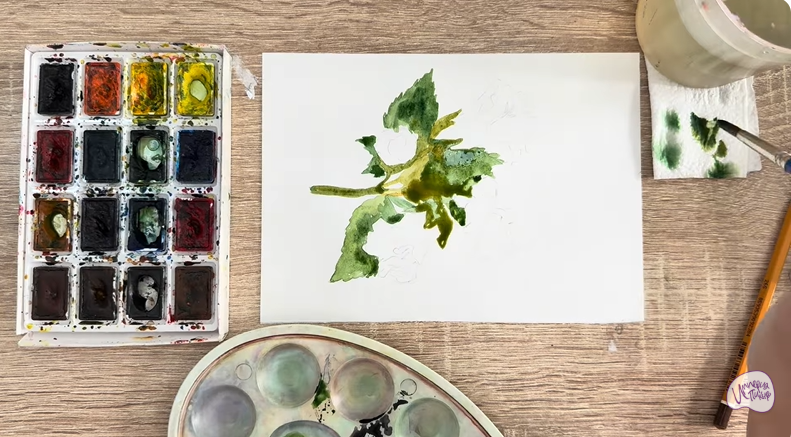 Рисуем Алтей лекарственный