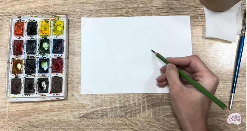 Рисуем Очиток