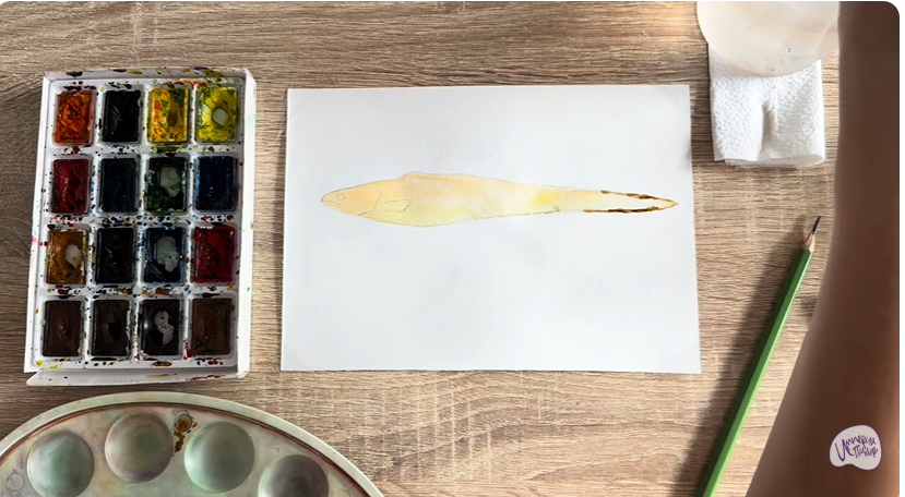 Рисуем Конгрио