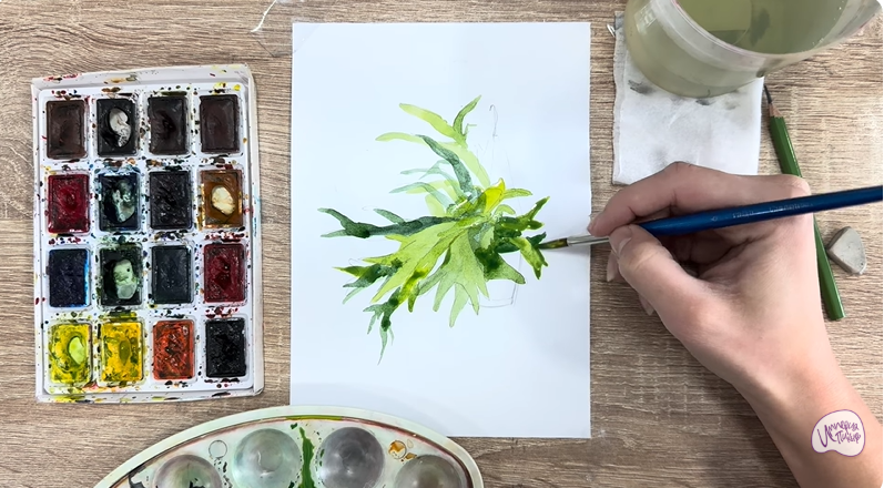 Рисуем Платицериум в горшке