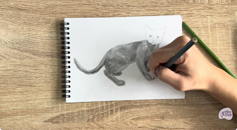 Рисуем Бомбейская кошка