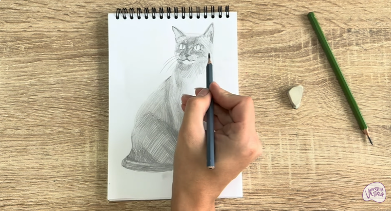 Рисуем Бурманский кот