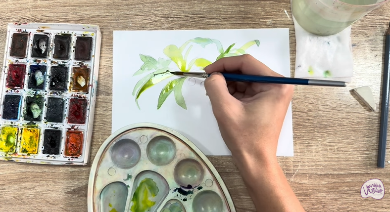 Рисуем Волчья ягода