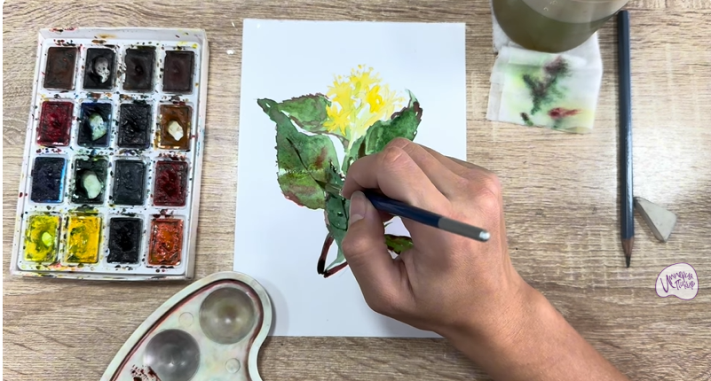 Рисуем Диервилла