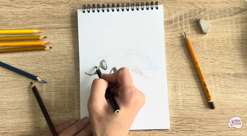 Рисуем Овод