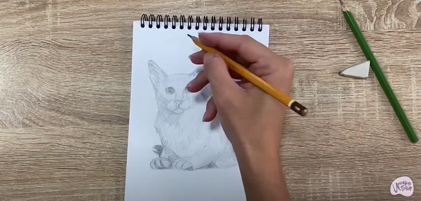 Рисуем Балинезийская кошка
