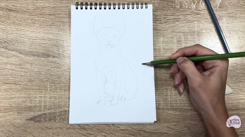 Рисуем Девон Рекс