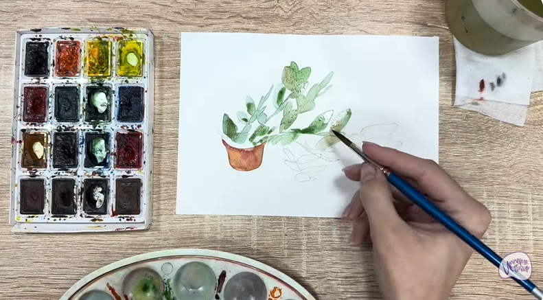 Рисуем Пеллиония в горшке