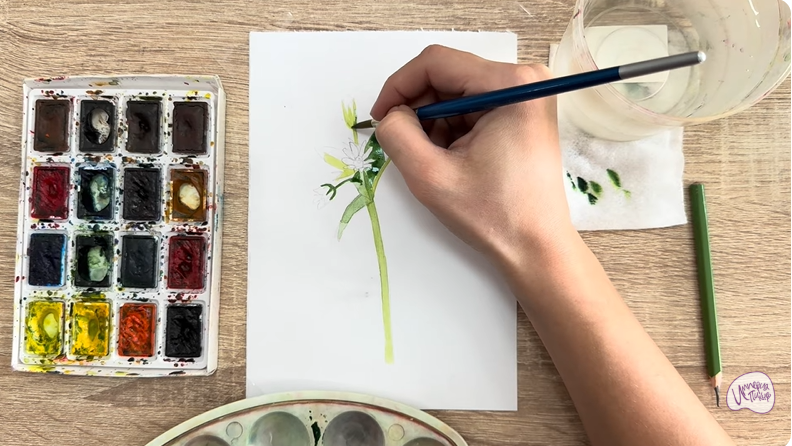 Рисуем Ясколка длинноволосая