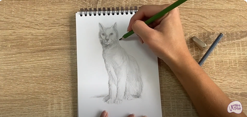 Рисуем Турецкая ангора