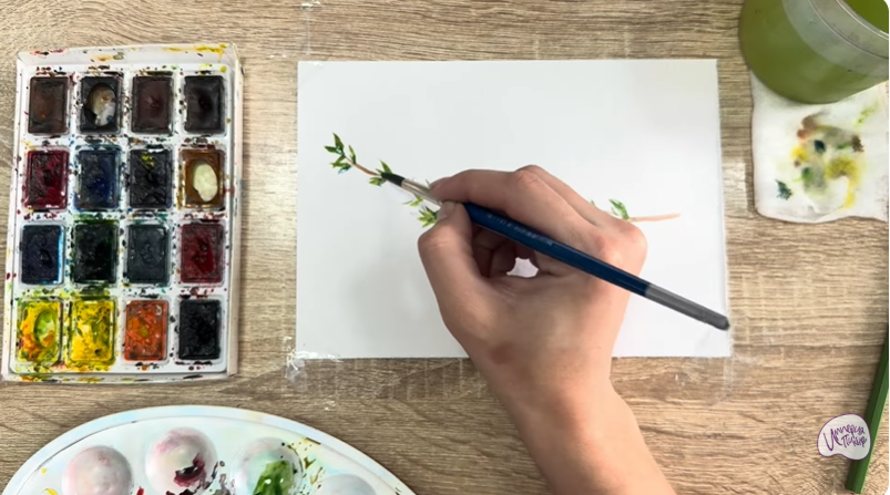 Рисуем Тимьян