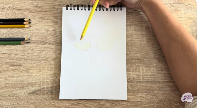 Рисуем Древесница въедливая