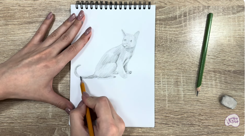 Рисуем Кот породы "Корат"