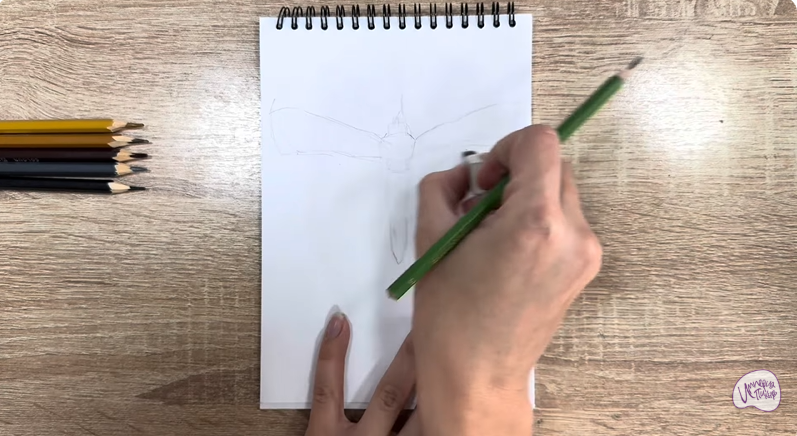 Рисуем Огнёвка зерновая