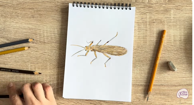 Рисуем Веснянка