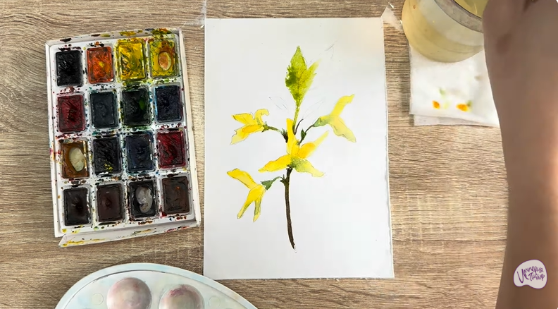 Рисуем Форзиция