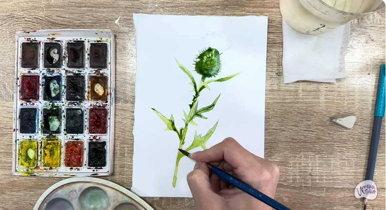 Рисуем Бодяк