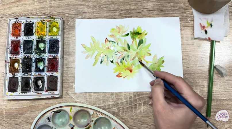 Рисуем Очиток