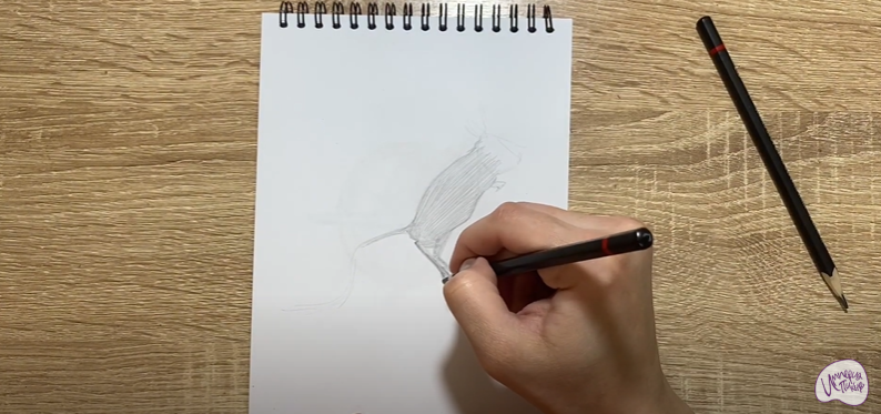 Рисуем Тушканчик