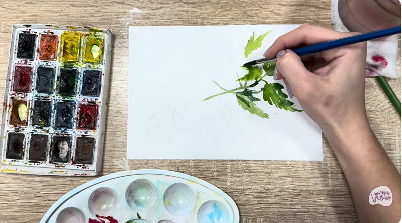 Рисуем Таволга