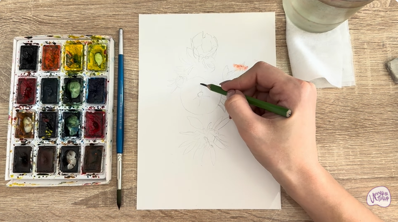 Рисуем Лапчатка