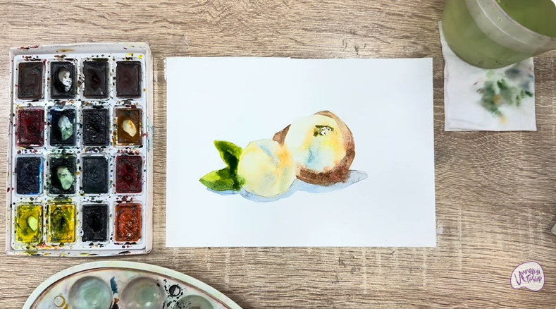 Рисуем Макадамия