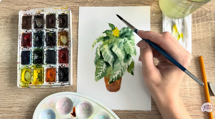 Рисуем Афеландра в горшке