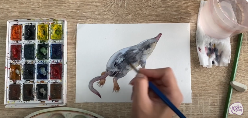 Рисуем Выхухоль